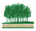 bosque-mirataia